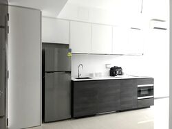 Sims Urban Oasis (D14), Condominium #515422151